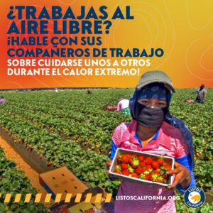 Hacer demasiado calor puede enfermar a las personas. Hable con sus vecinos y compañeros de trabajo y vigilen a los demás durante el calor extremo.

Golpe de calor: piel roja, caliente y seca; temperatura corporal muy alta; mareo; náuseas; confusión, comportamiento extraño o inconsciencia; pulso rápido o dolor de cabeza punzante. Llame al 9-1-1.

Agotamiento por calor: sudor abundante, calambres, dolor de cabeza, náuseas o vómitos, cansancio, debilidad, mareos y desmayos. Muévase a un lugar fresco y obtenga ayuda médica si vomita
